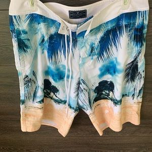 American Eagle board shorts